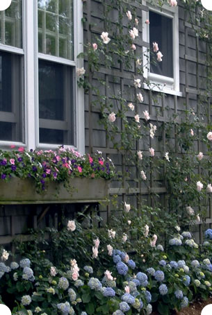 We also provide seasonal care for your Nantucket property